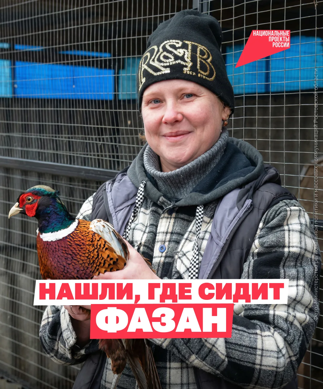 Увидела фазана и поняла: надо делать бизнес! 🐣