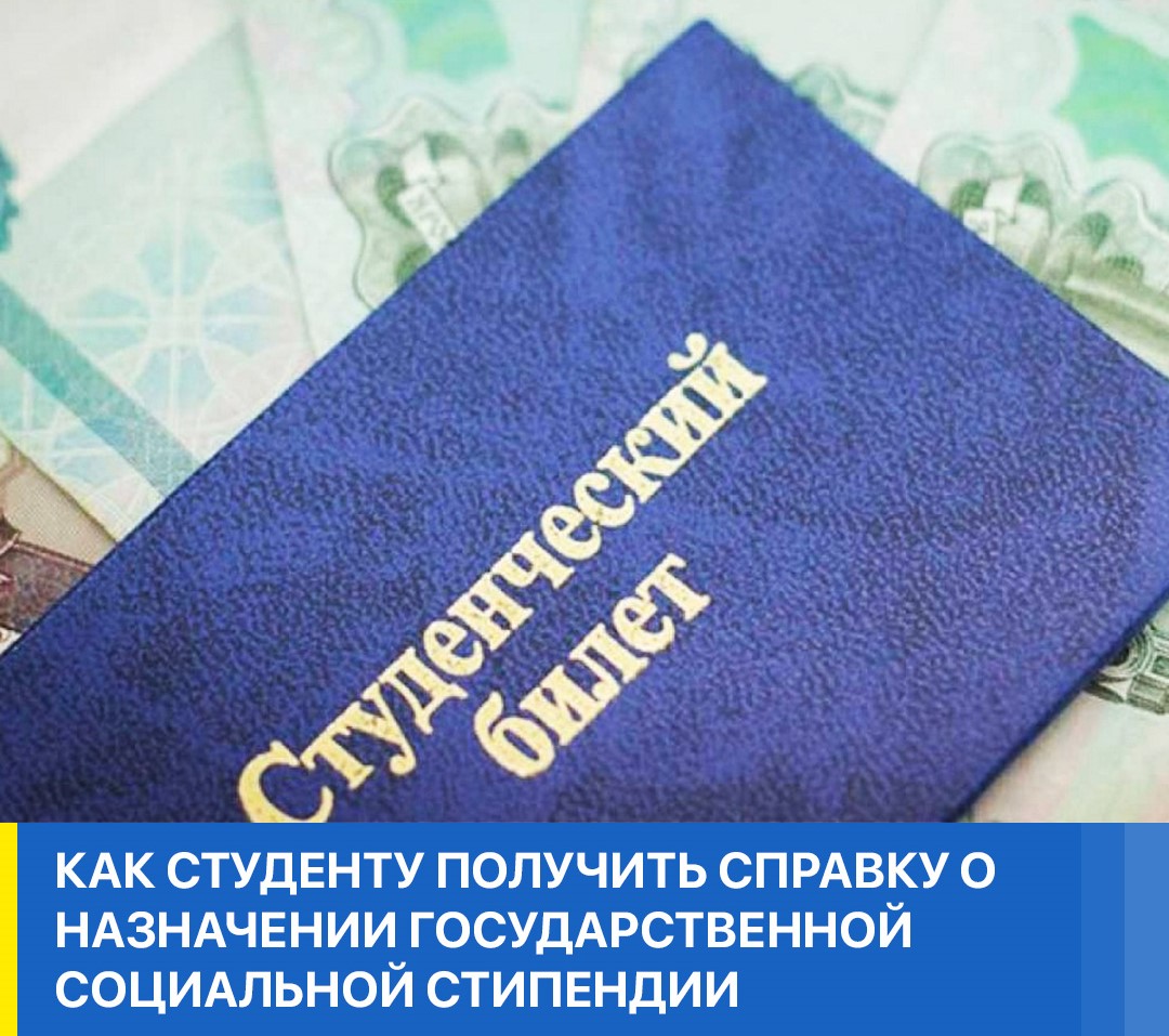 ГКУ РД УСЗН в мо «Ногайский район» напоминает: с 2026 года действует новый порядок выдачи справки для назначения государственной социальной стипендии (приказ Минтруда РД от 9 февраля 2026 г. № 03/2‑68)